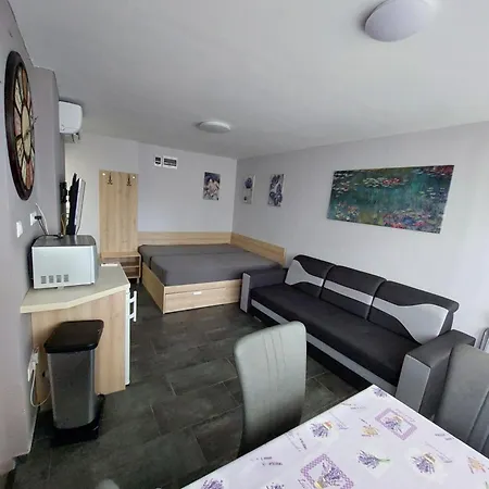 Vizparti Gyermekbarat Teljesen Felujitott Apartman, Orzoett, Sajat Strand, Parkolo, Etterem Balatonfenyves